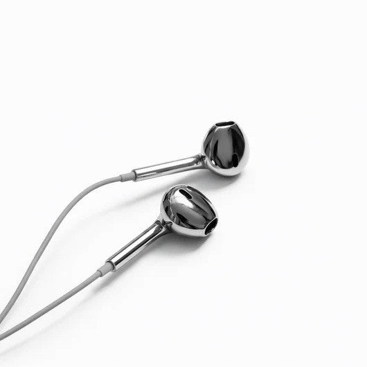 Chrome Silver Wired Earphones Earbuds w/ Mic & Volume Control USB C port
